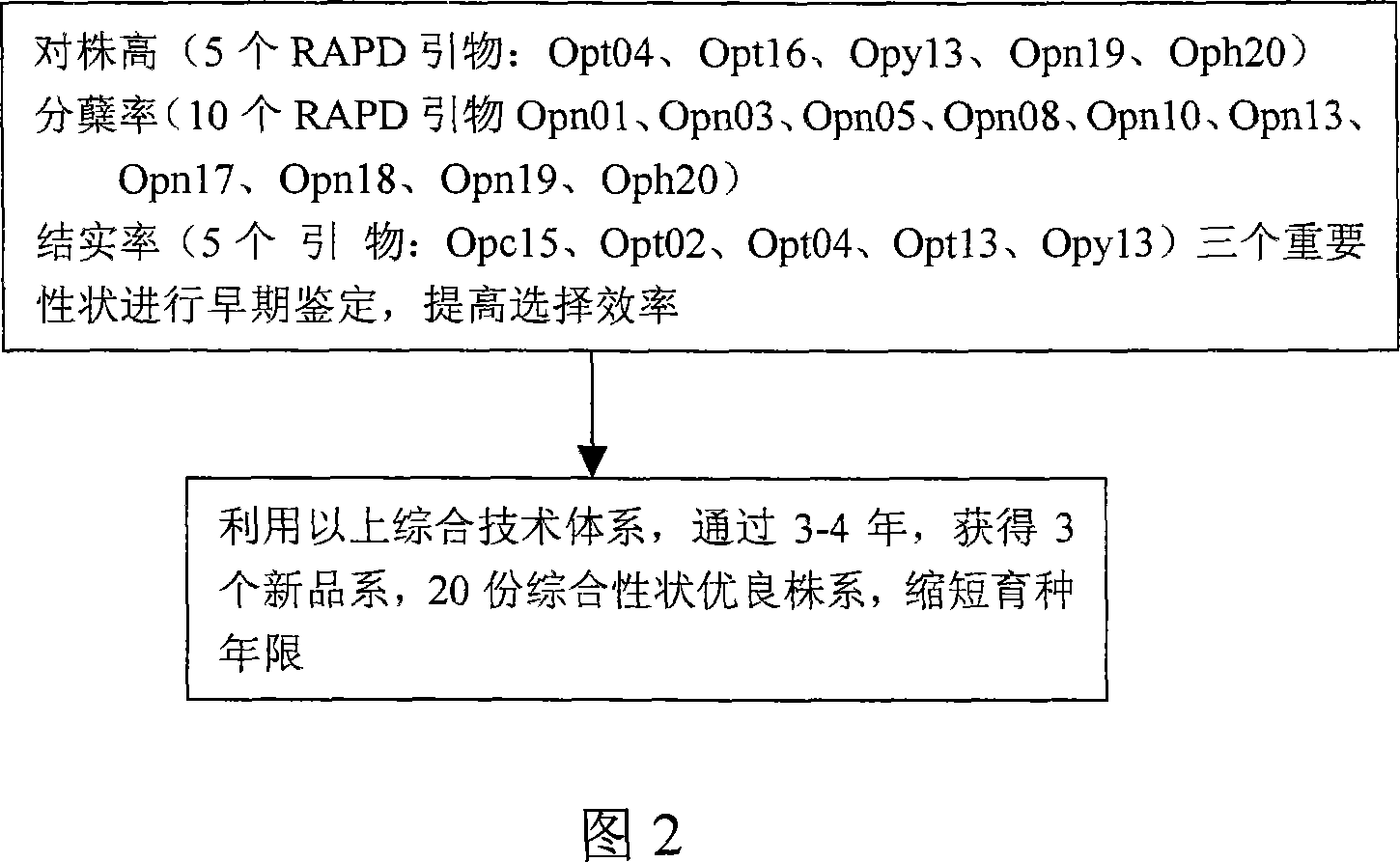 Wild-rice distant hybridization high-efficient cultivating superior progeny method