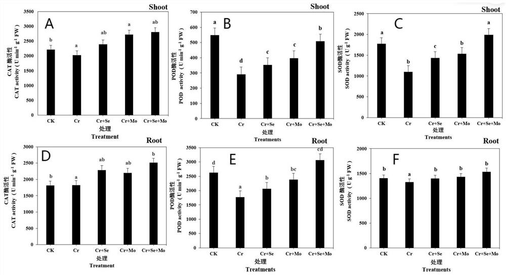 Application of exogenous selenium-molybdenum composition in alleviating chromium stress in tobacco