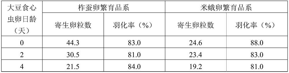 Method of domestication and breeding of armyworm Trichogramma suitable for control of soybean borer and control application