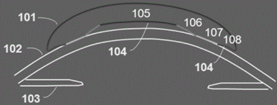 OCT (Optical Coherence Tomography) imaging system and method for monitoring shaping effect of orthokeratology lens by using living body