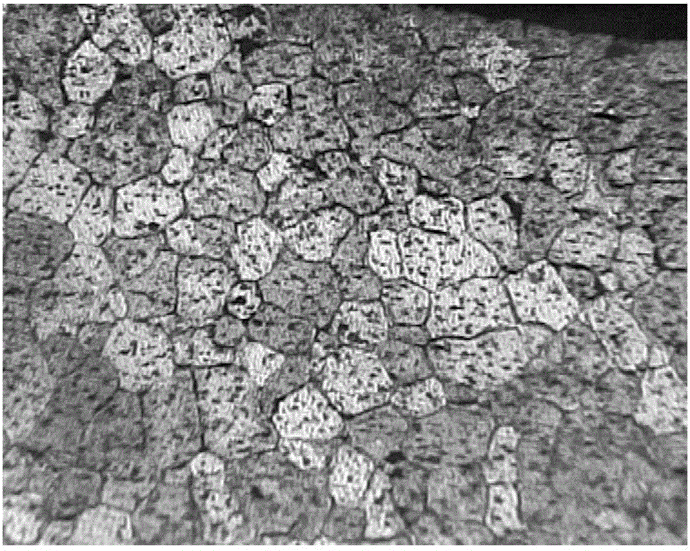 Metallographic corrosive and alloy macrostructure display method