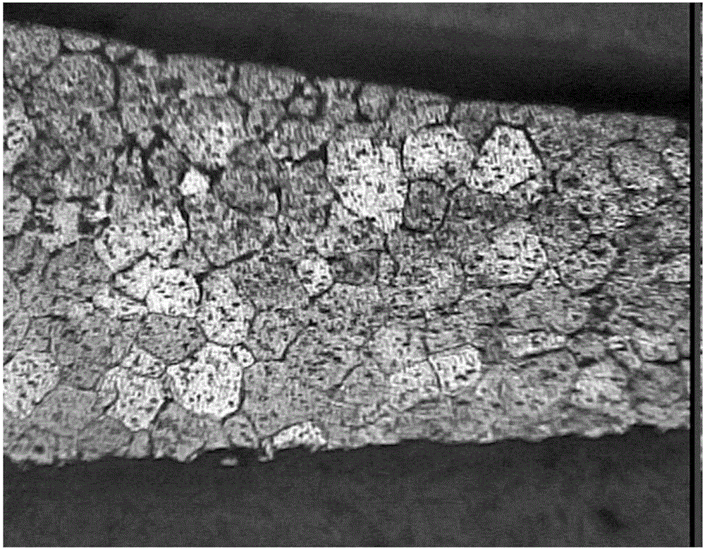 Metallographic corrosive and alloy macrostructure display method