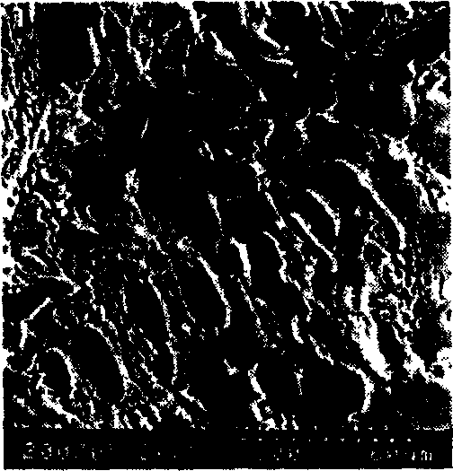 Method for producing high puriy, laminar cast ingot of Nd-Fe-B alloys