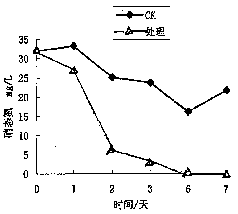 Bacillus amyloliquefaciens and application thereof on aquiculture