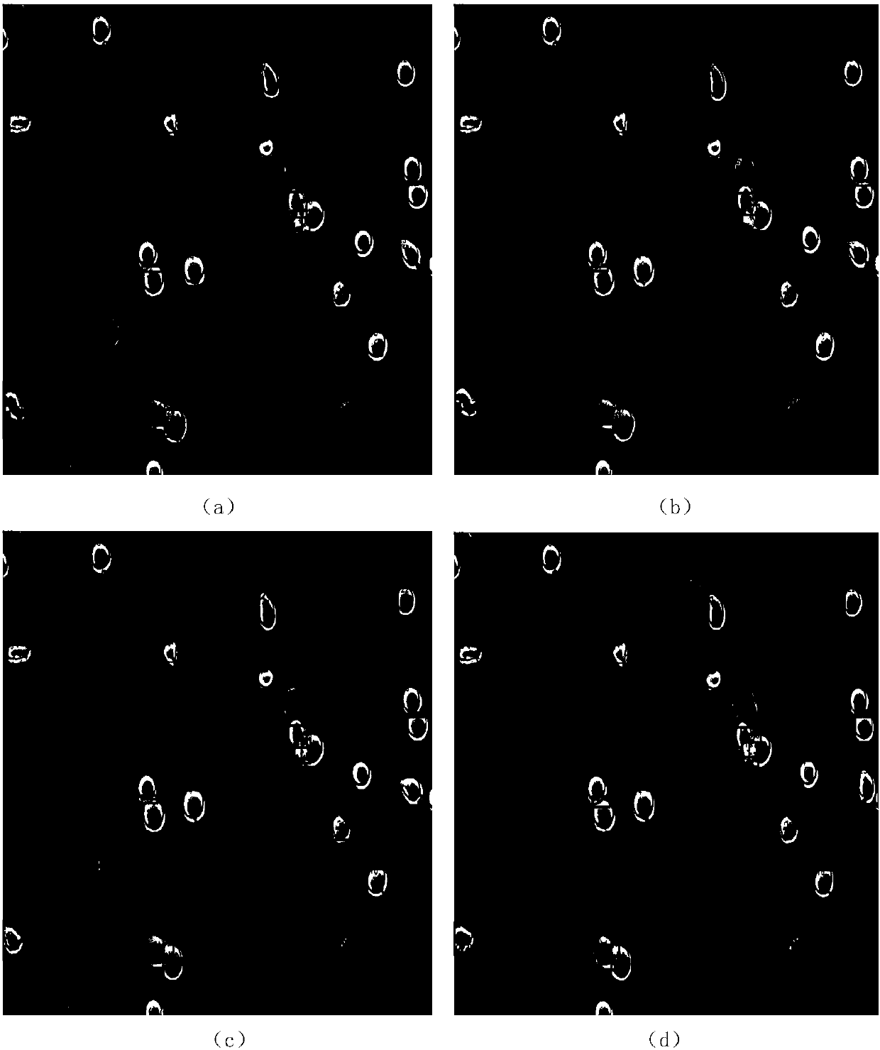 A cancer cell tracking method based on deep learning detection