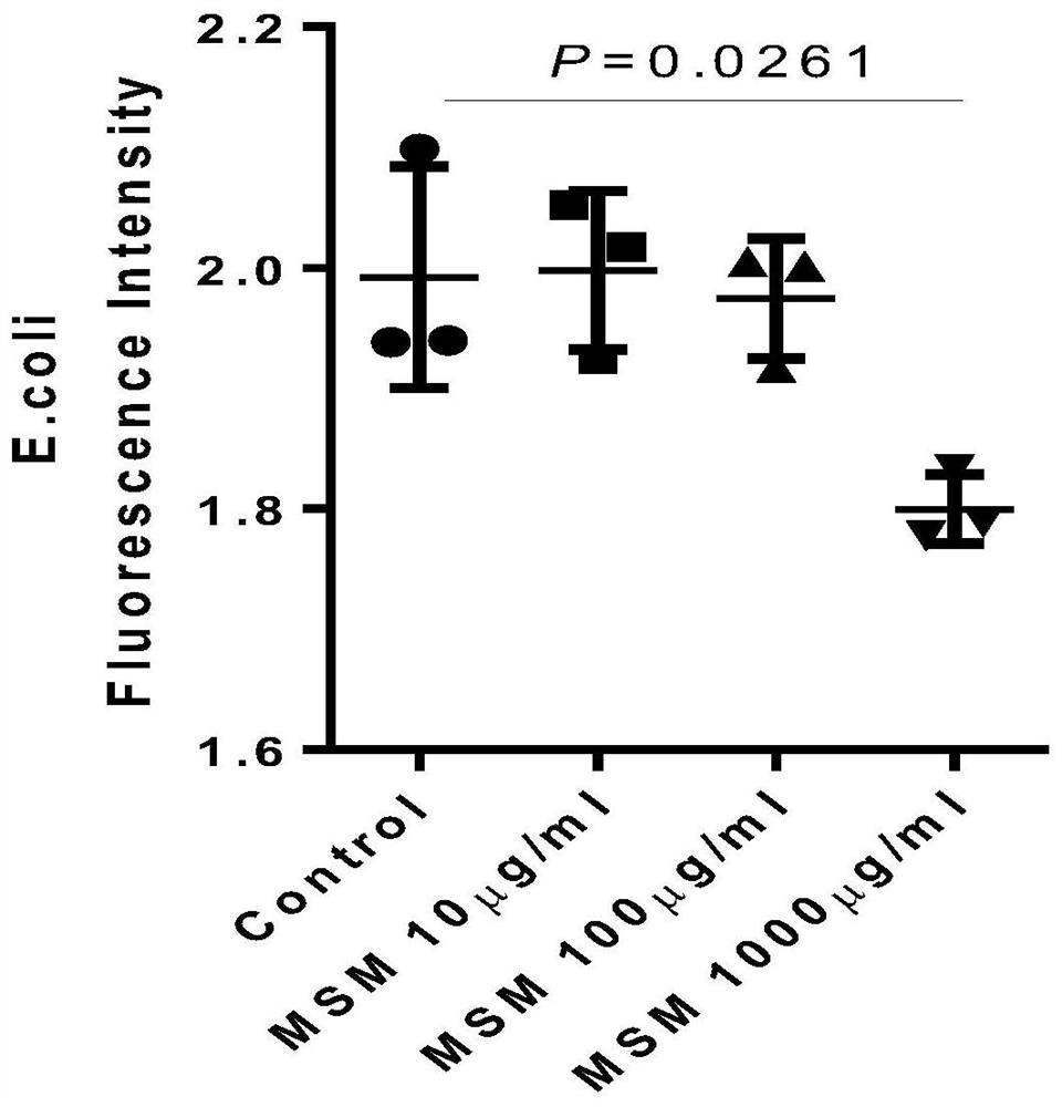 Application of MSM in preparation of drugs for destroying cell walls and protecting organs