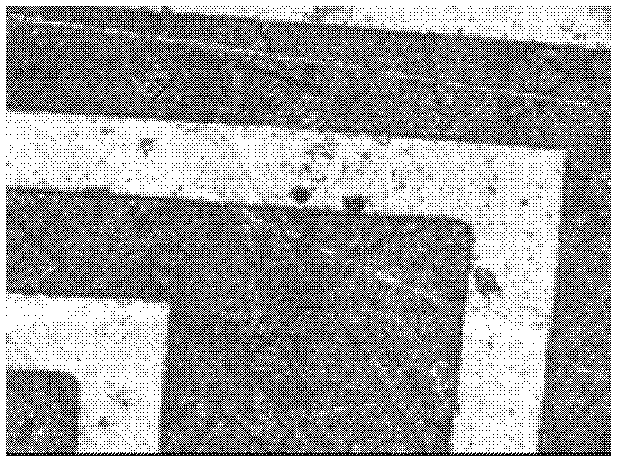 Preparation method of film temperature sensor for liquid floated gyroscope