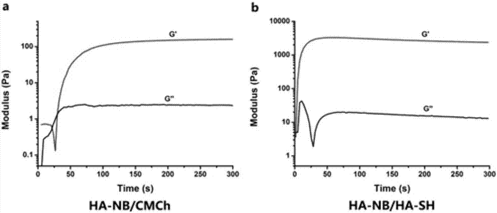 Photoinduced nitroso crosslinked hydrogel material and preparation method and application thereof