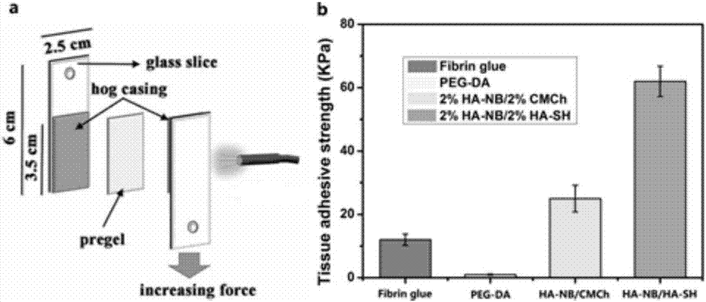 Photoinduced nitroso crosslinked hydrogel material and preparation method and application thereof