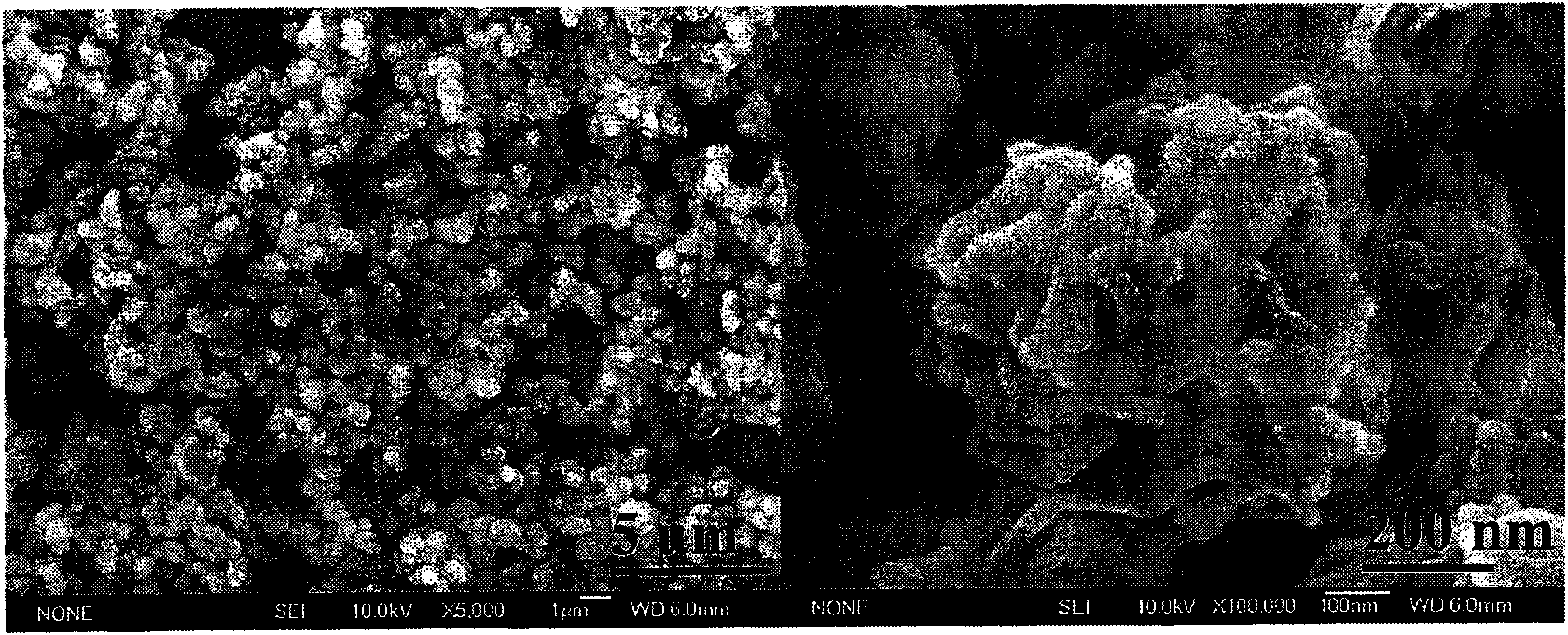 Calcium silicate multi-level nano-structure mesoporous microsphere and preparation method thereof