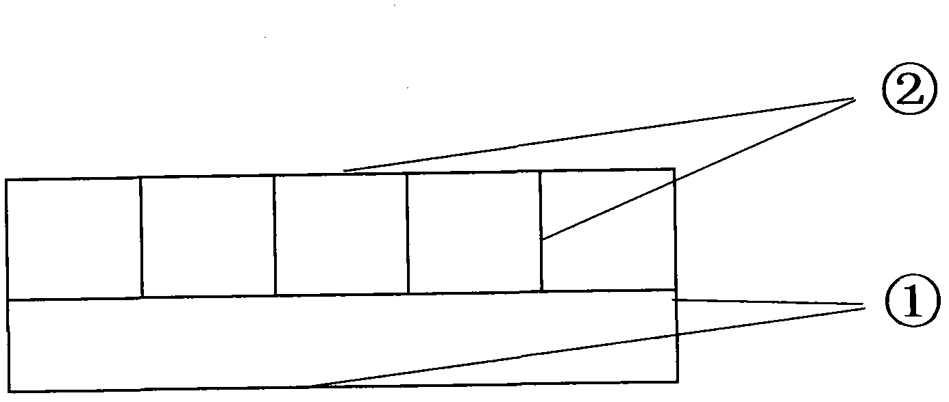 Technique for preventing refrigerator against mould and other harmful bacterium