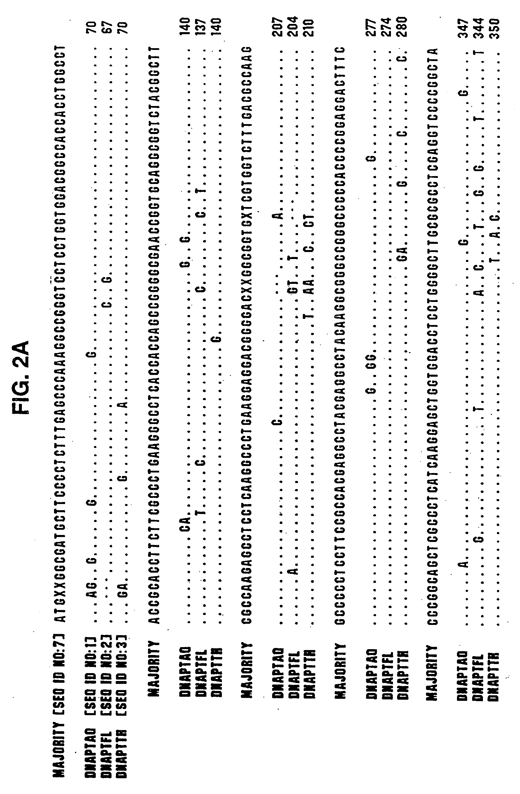 Cleavage of nucleic acids