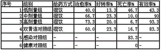 Traditional Chinese medicine composition for preventing and treating infectious diseases of respiratory tracts of livestock and preparation method thereof