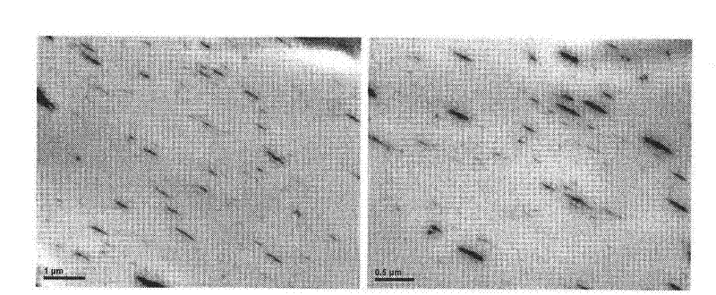 Method for preparing degradable organic-inorganic nanometer hybrid material containing POSS (Polyhedral Oligomeric Silsesquioxanes)