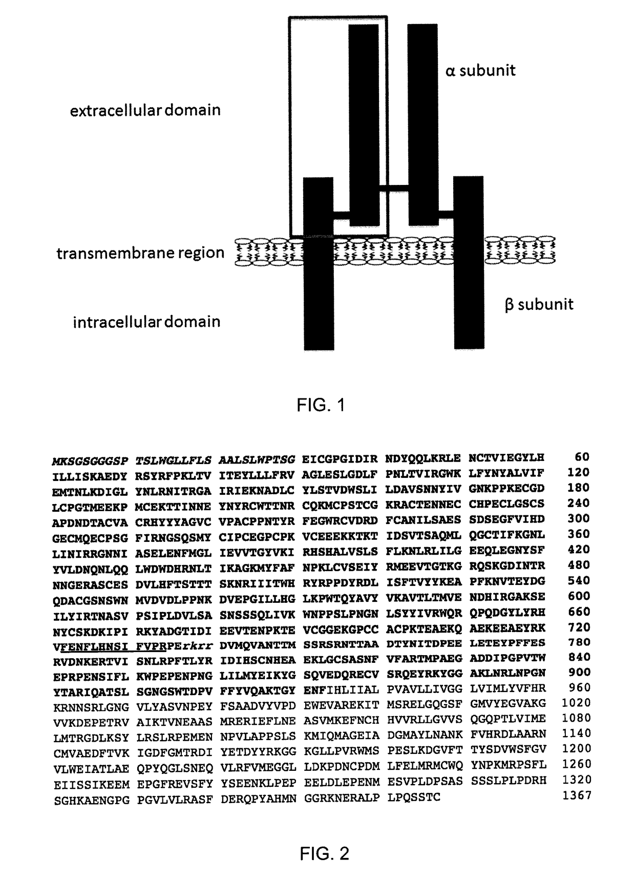 Insulin-like growth factor 1 receptor-specific antibodies and uses thereof