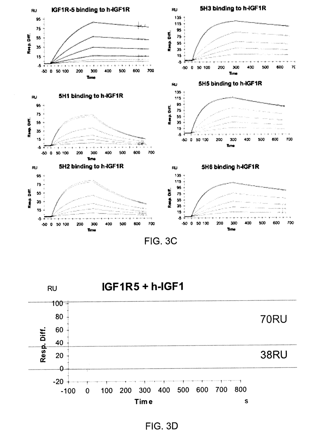 Insulin-like growth factor 1 receptor-specific antibodies and uses thereof