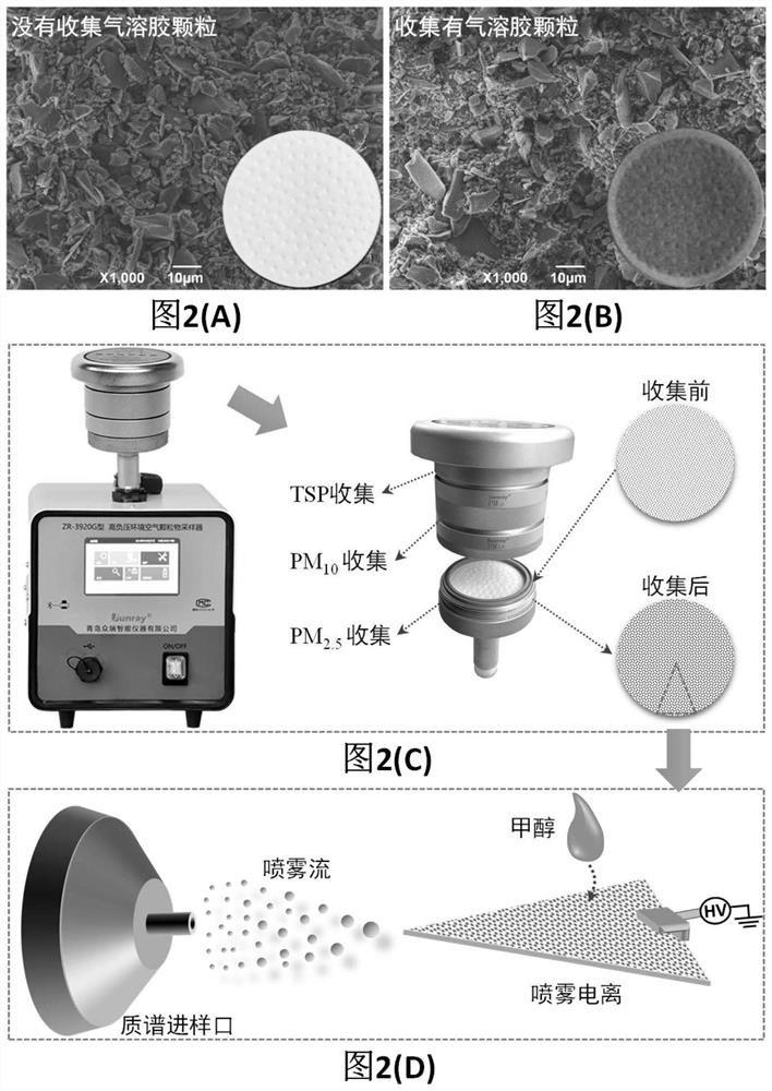 Efficient collection and rapid mass spectrometry method for organic compounds in atmosphere