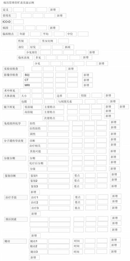 Whole-course supervision system and method for soft tissue tumor informatization pathology auxiliary diagnosis