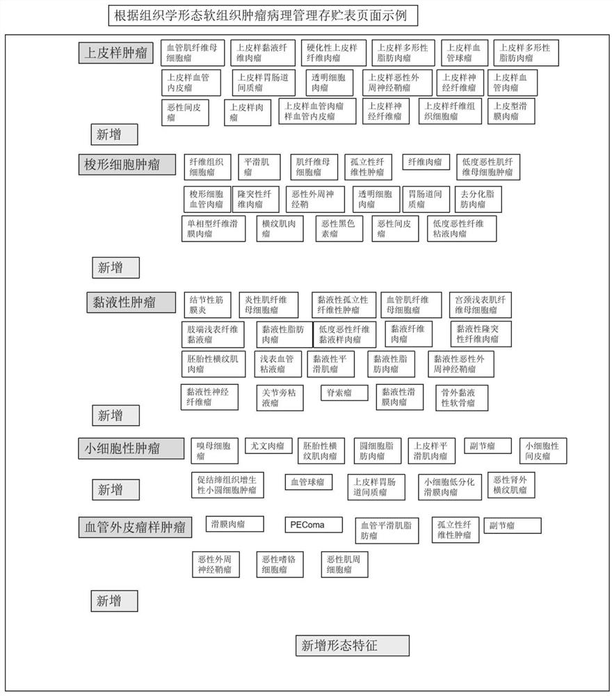 Whole-course supervision system and method for soft tissue tumor informatization pathology auxiliary diagnosis