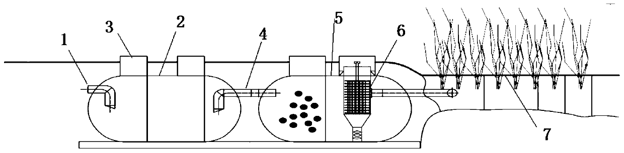 Ecological excrement treatment system used in rural area