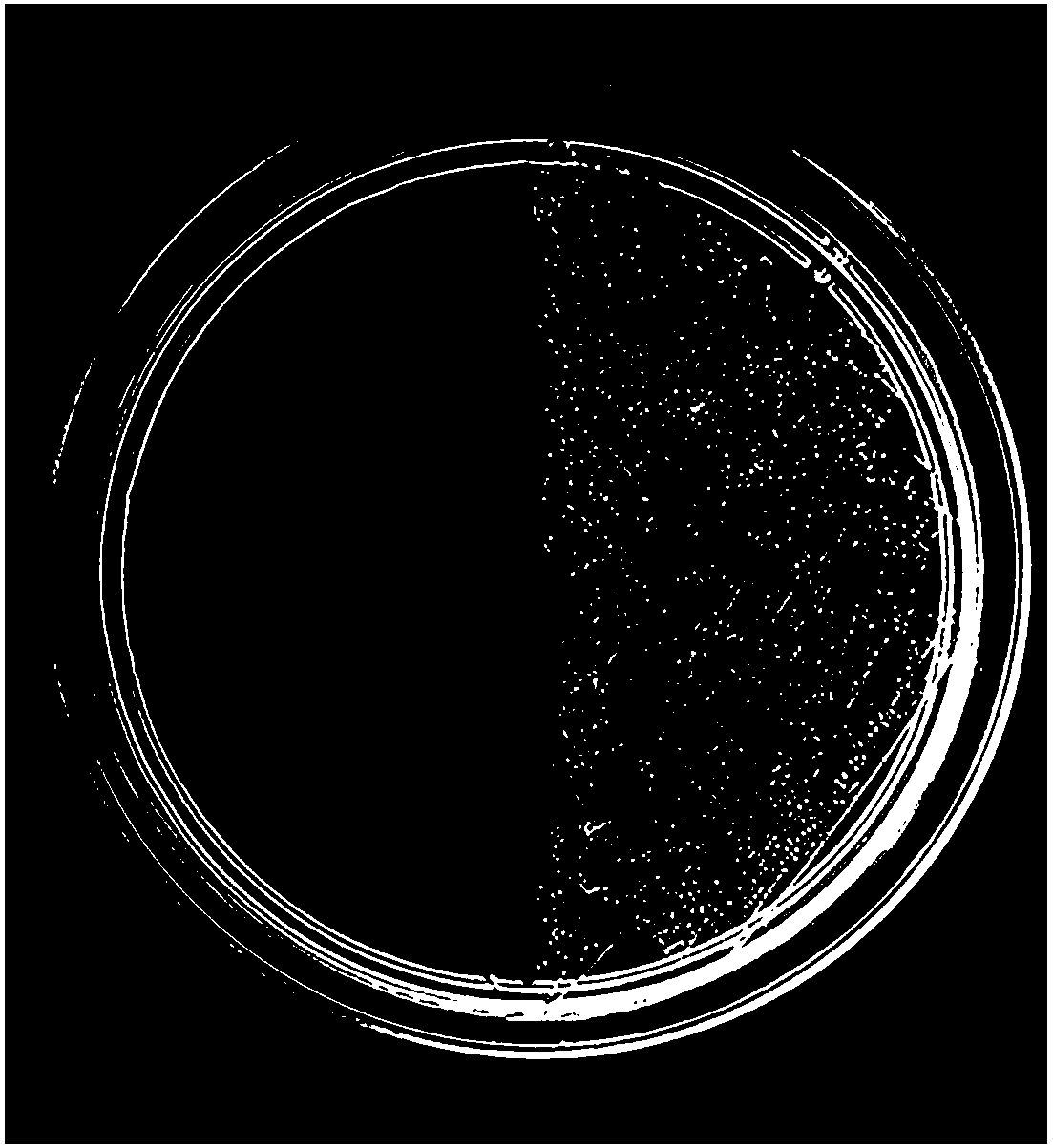 Bioremediation reagent for promoting hyperaccumulator growth and enhancing soil heavy metal extraction and remediation method