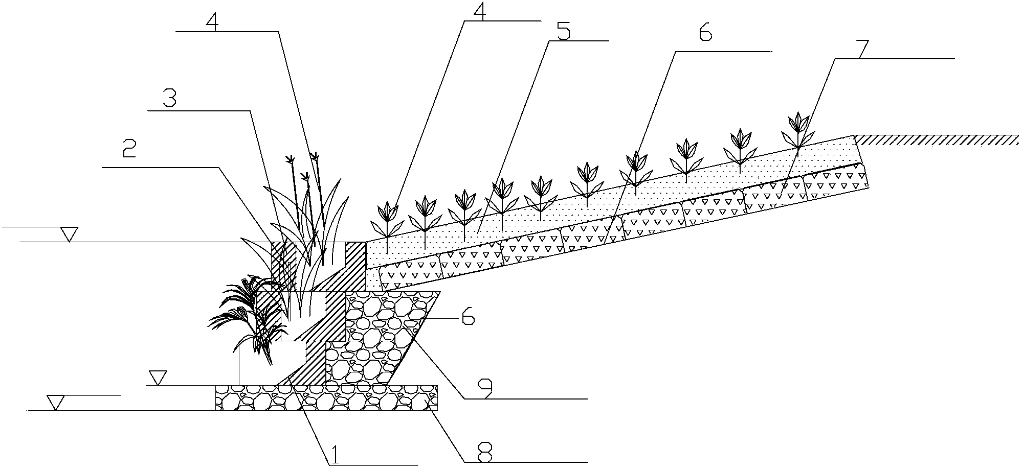 Inland riverbank vegetation buffering and purifying zone