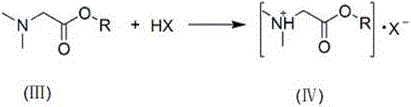 Degradable gemini quaternary ammonium salt bactericide and preparation method thereof