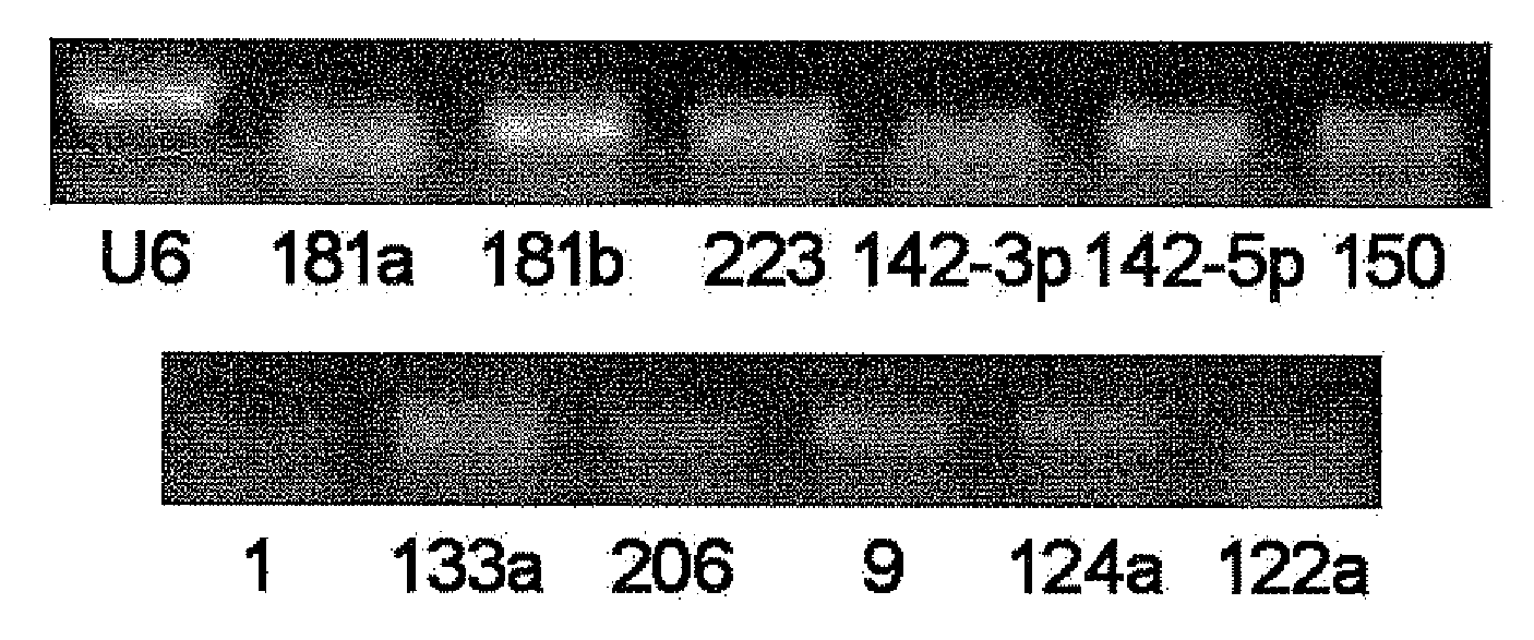 Serum/plasma micronas and uses thereof