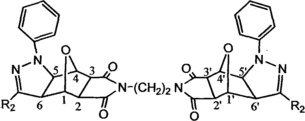 Norcantharidin derivative and activity testing method and application thereof