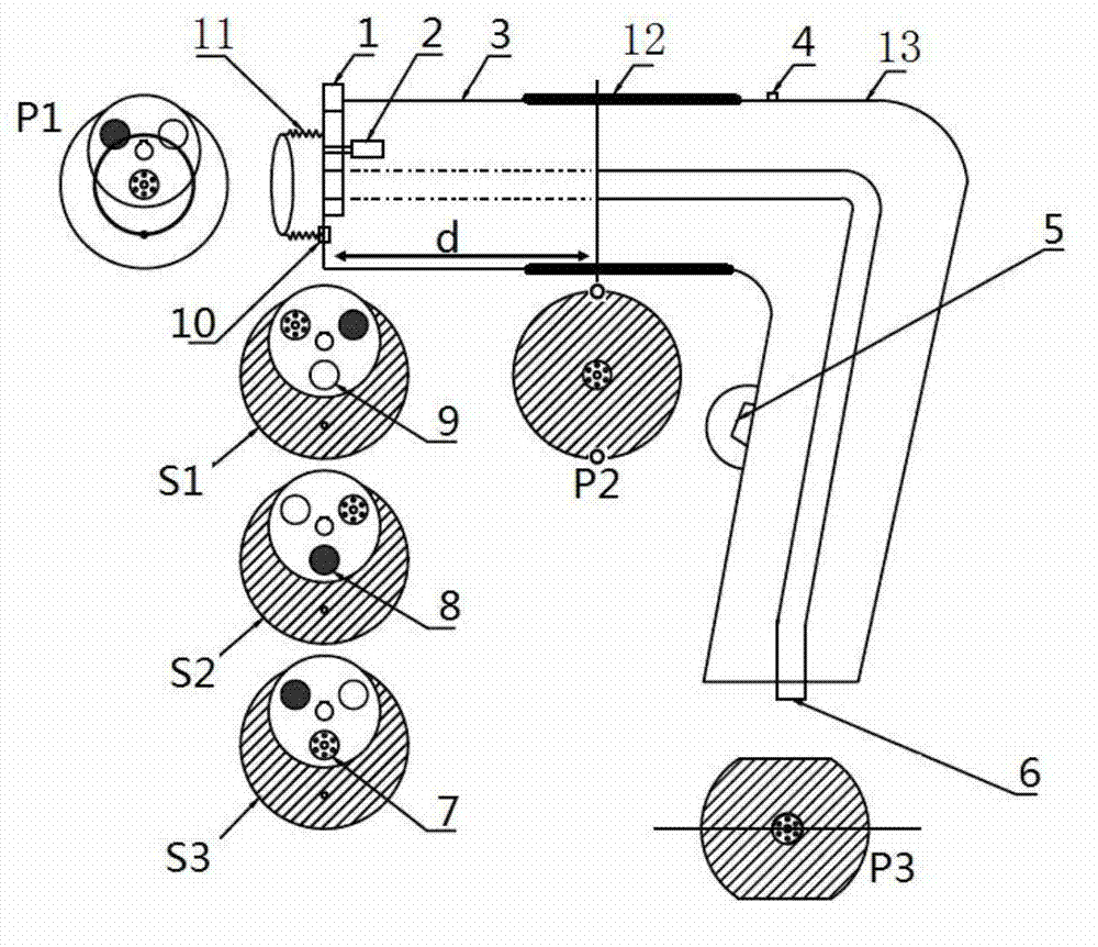 Non-destructive testing system and method for testing internal quality of fruit by using near-infrared spectra