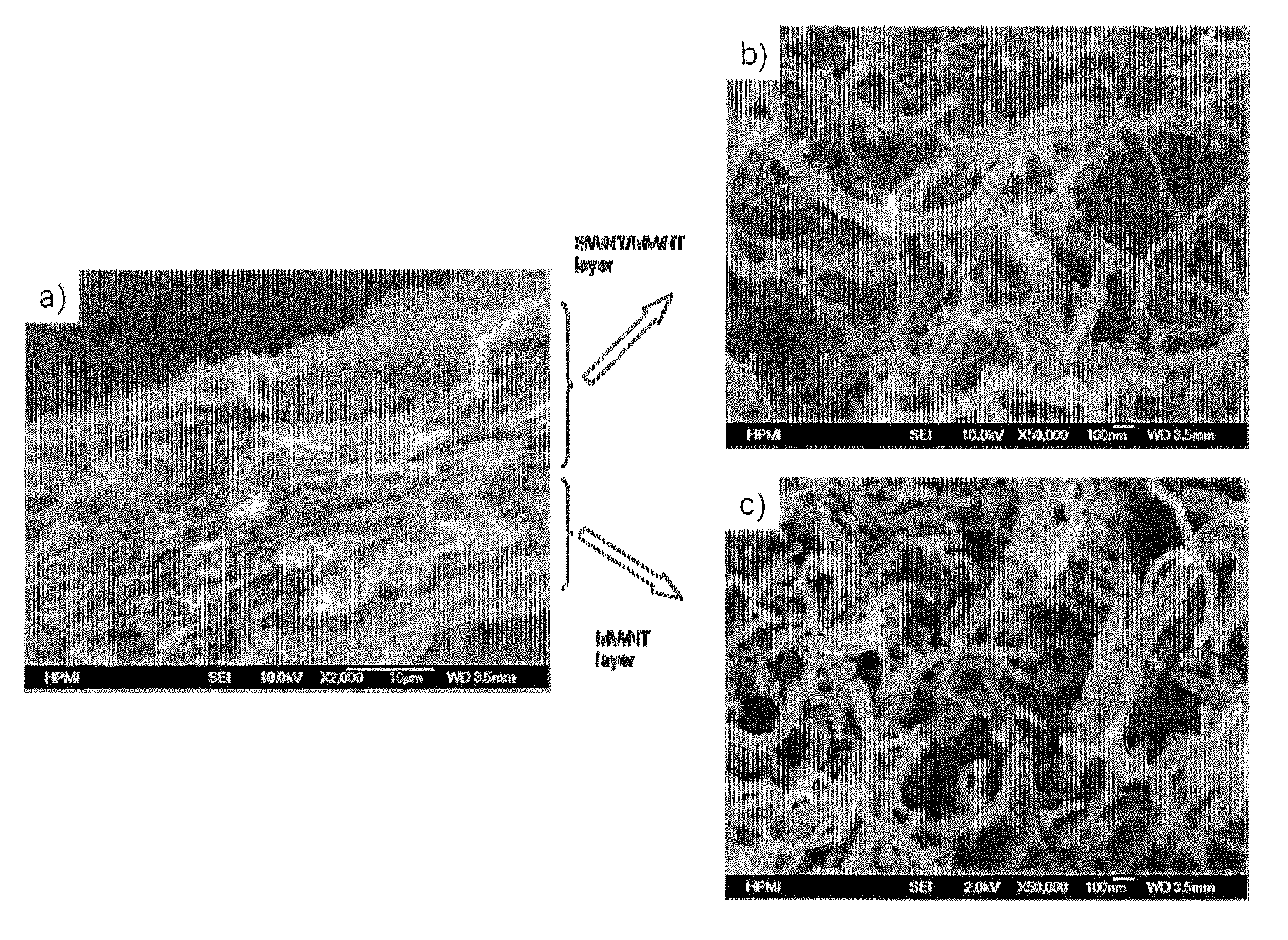 Carbon nanotube and nanofiber film-based membrane electrode assemblies