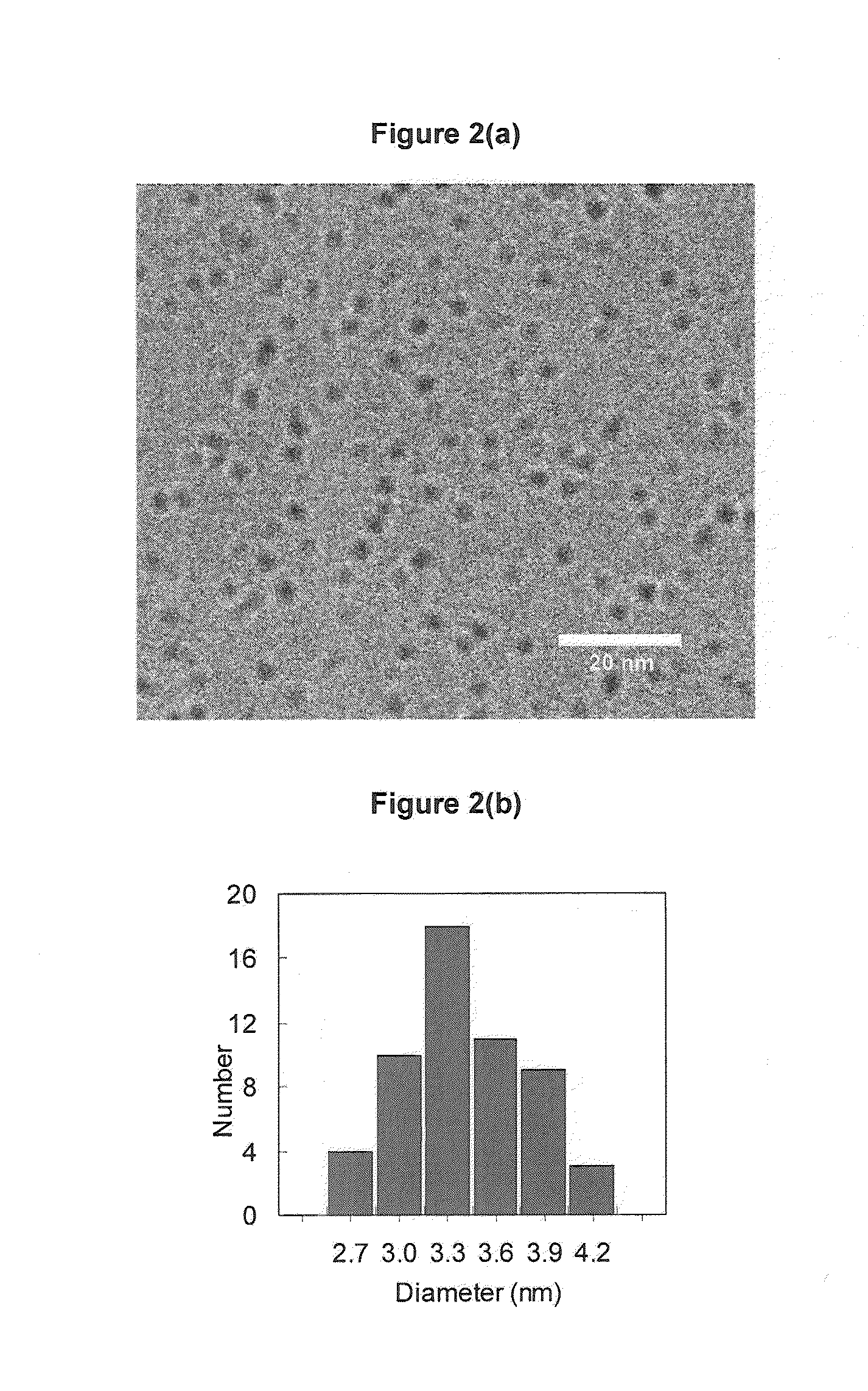 Stable Iron Oxide Nanoparticles and Method of Production