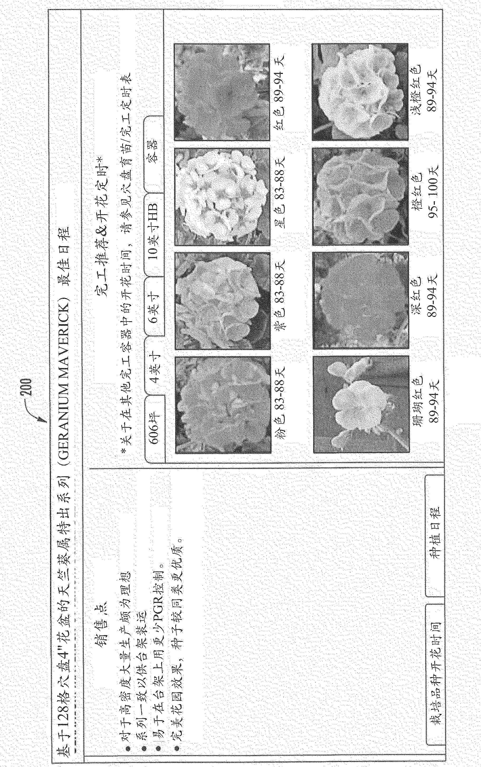 Programmable plant system