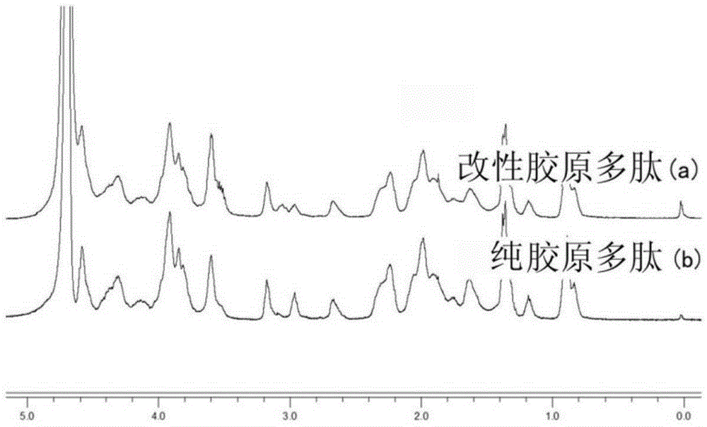 Preparation of mono-epoxy-terminated polysiloxane-modified gelatin gradient membrane by freeze-drying method