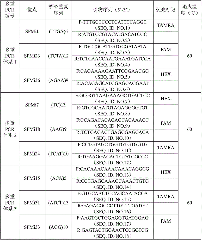 Spinibarbus dneticulatus microsatellite family identification method