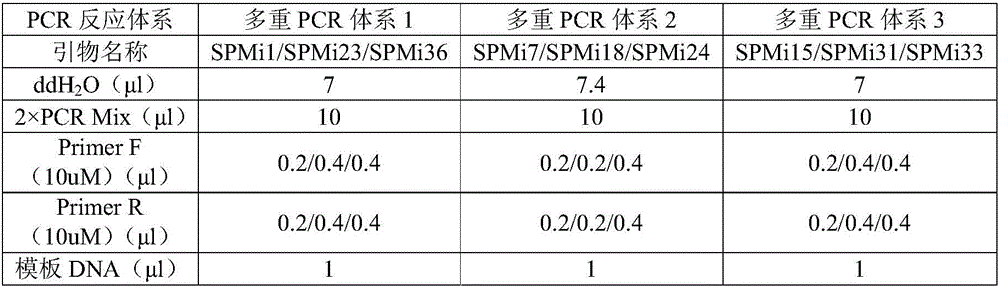 Spinibarbus dneticulatus microsatellite family identification method