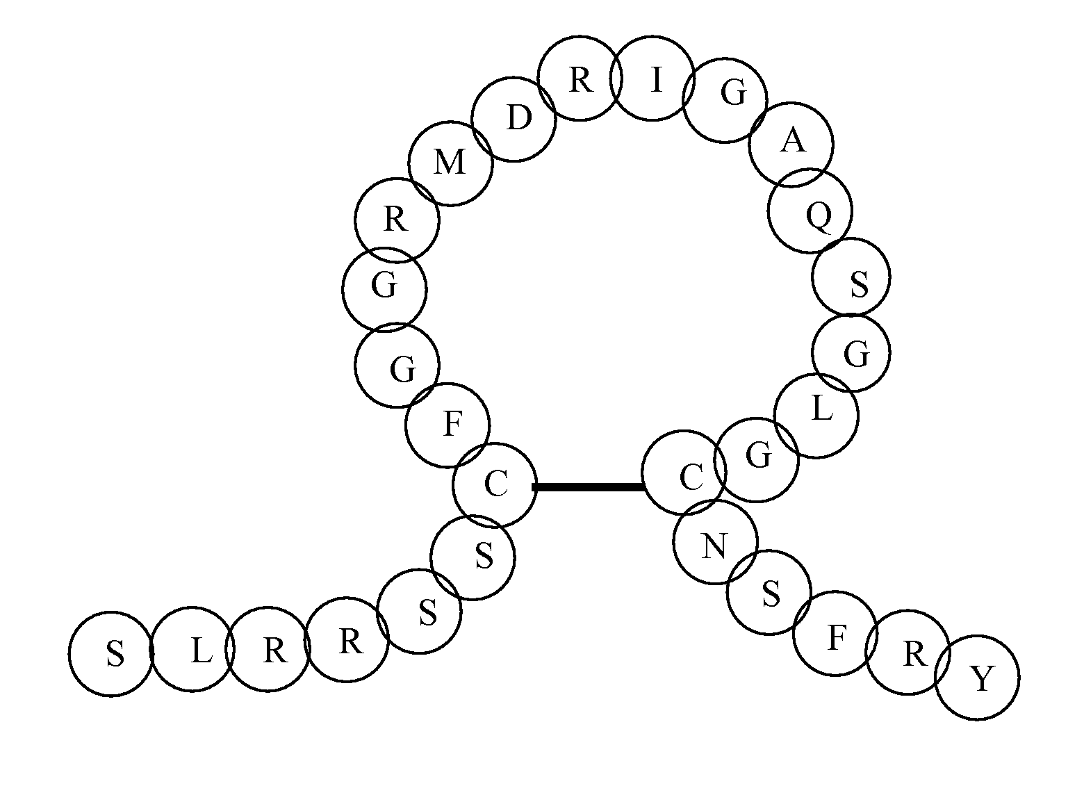 Cyclic Natriuretic Peptide Constructs