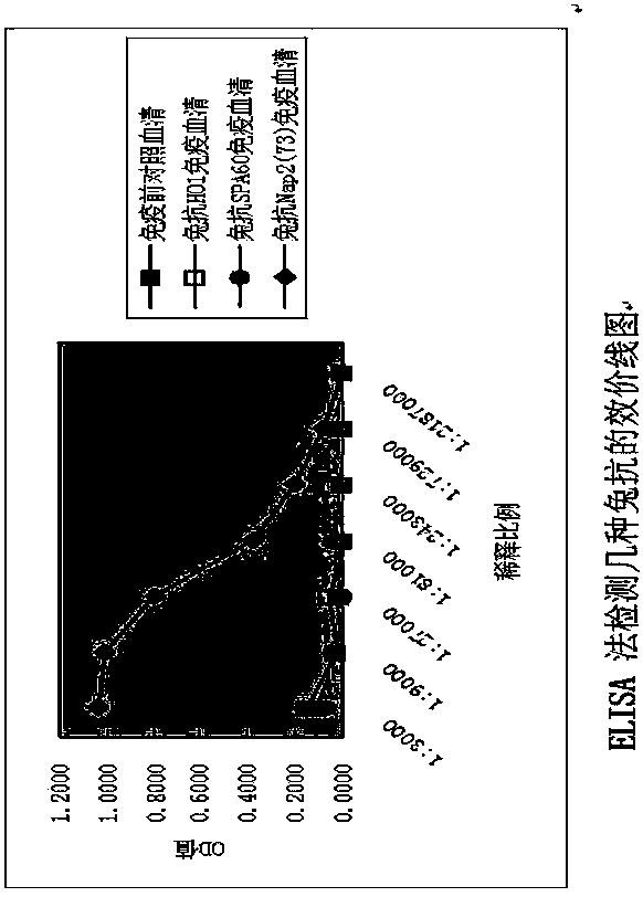 Cross method of indirect ELISA method