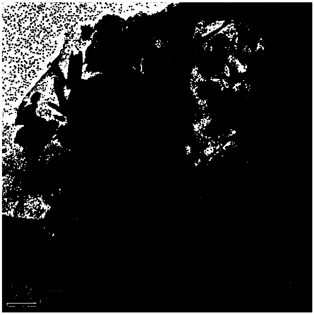 Porous carbon aerogel catalyst, and preparation method and application thereof