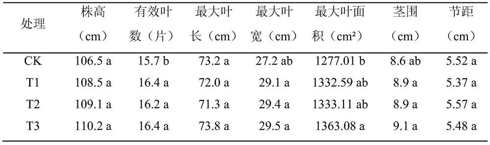 A kind of cellar-type tobacco seedling transplanting method under film