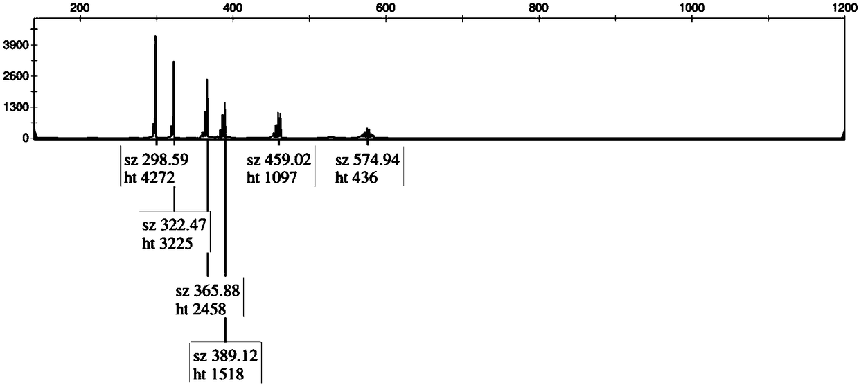 Calibration product for fragile X syndrome virulence gene detection and application thereof