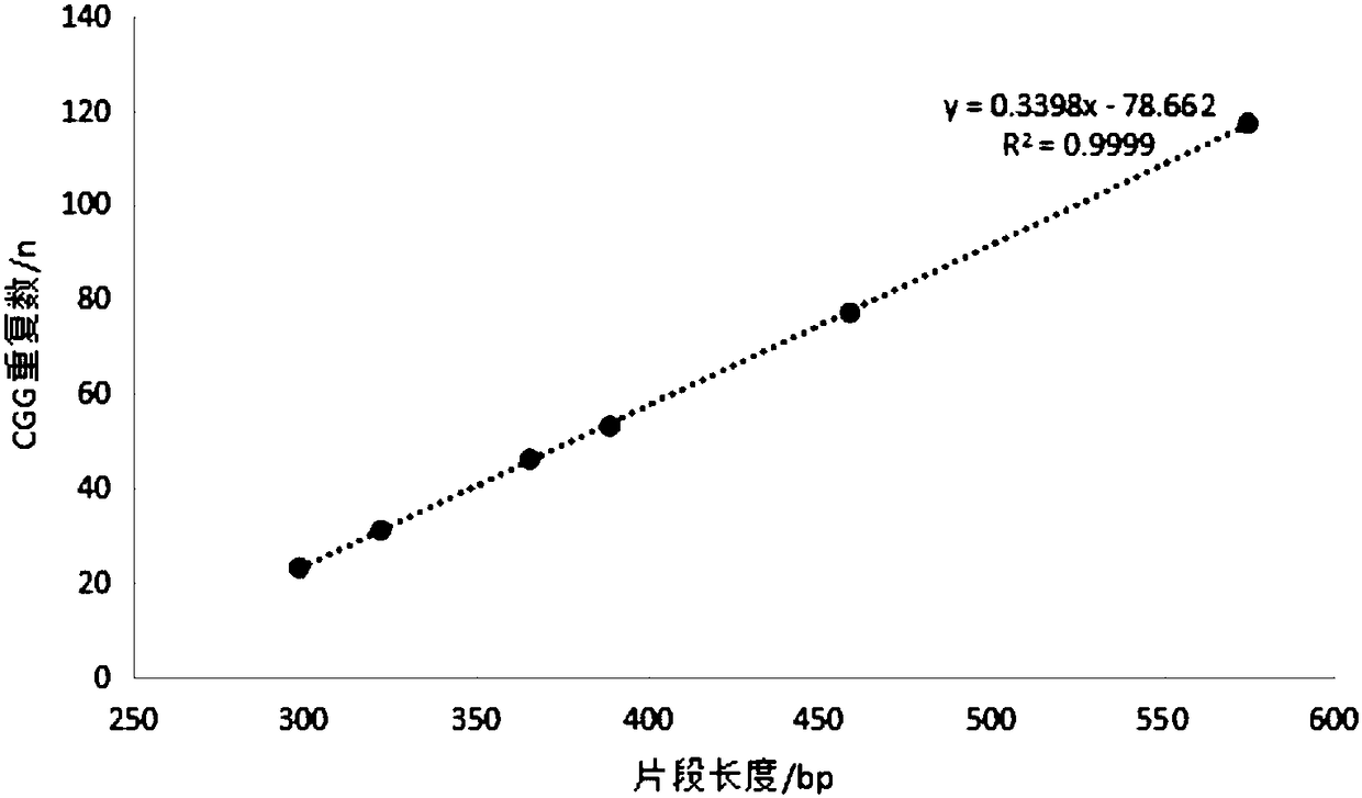 Calibration product for fragile X syndrome virulence gene detection and application thereof