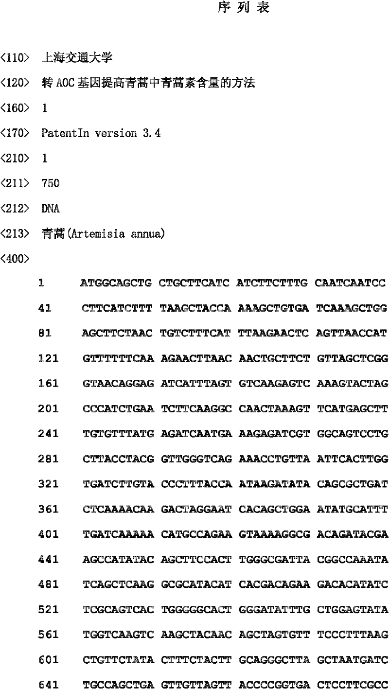 Method for improving artemisinin content in artemisia annua L through transferring allene oxide cyclase (AOC) gene