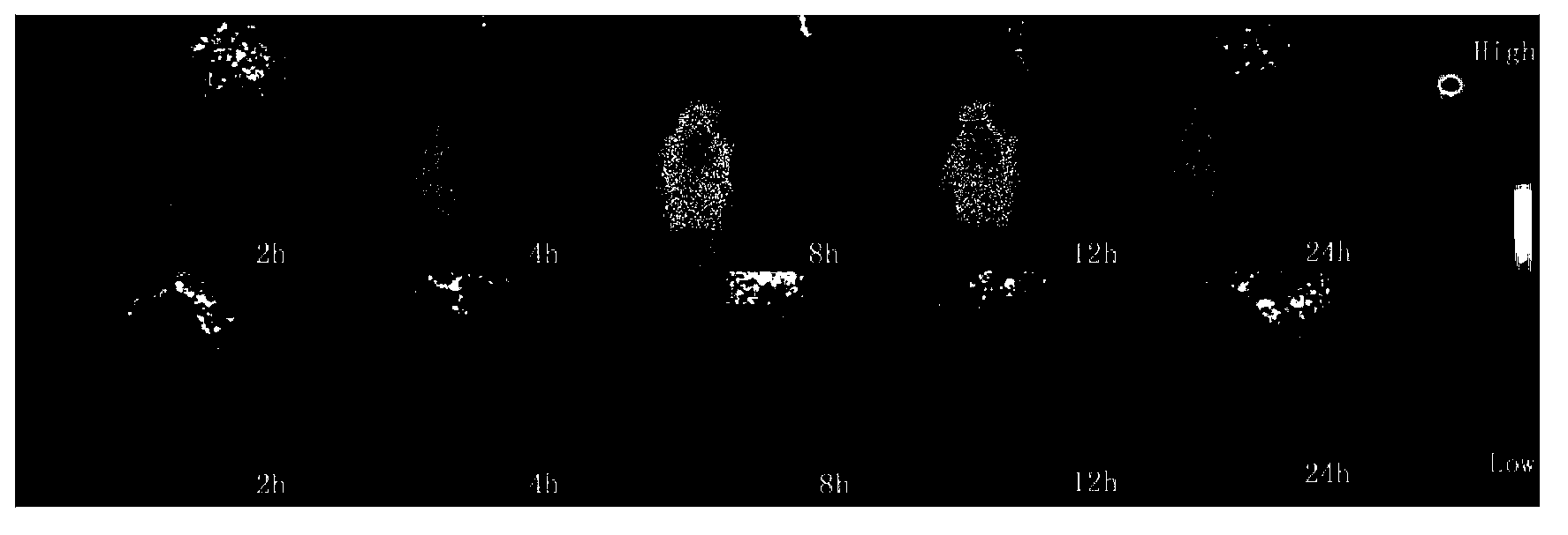 Taxane medicines albumin nanoparticle preparation for injection and preparation method thereof