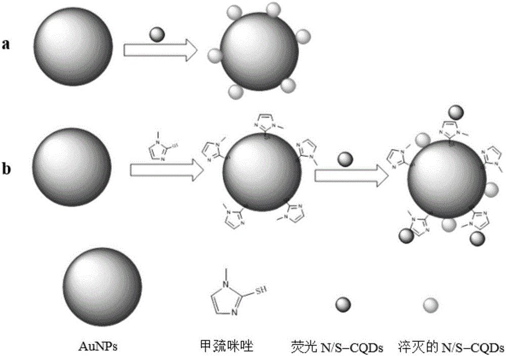 Methimazole detection method