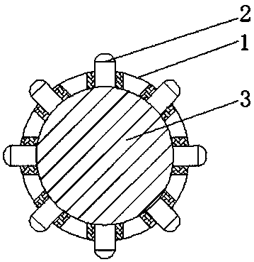 Spray irrigation device for sugar orange planting