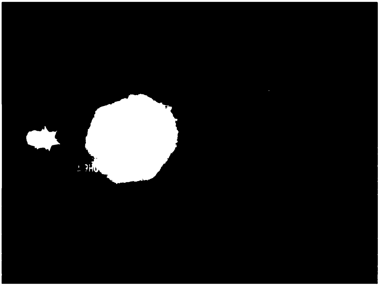 Automobile night vision anti-halo image segmentation and evaluation method based on infrared and visible light fusion