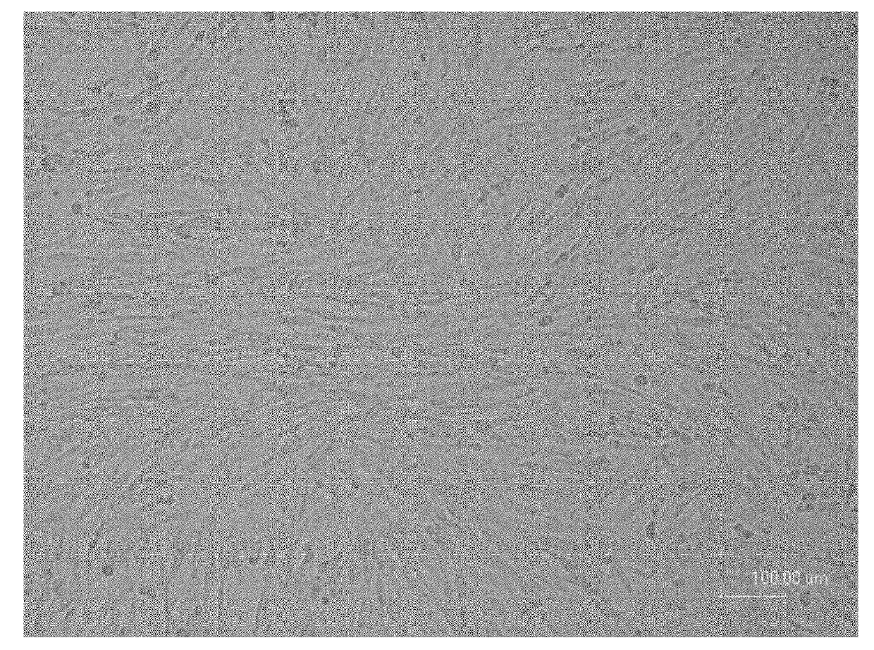 Method for inducing human umbilical cord mesenchymal stem cells in vitro into liver cells and application thereof