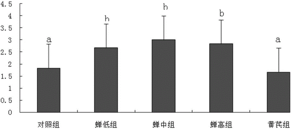 Application of paecilomyces cicadae cordyceps polysaccharides in preparation of chicken immunity enhancement reagent