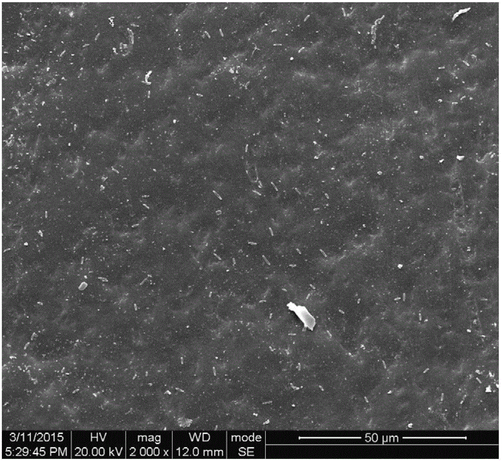 Hollow fiber ultrafiltration membrane with antibacterial and antipollution functions and preparation method thereof